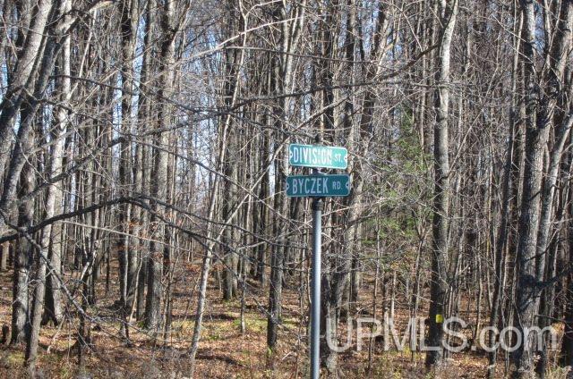 Tbd Byzcek Road Iron River, MI 49935 - Photo 3 of 11
