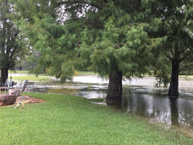 37243 FM 521 Road Bay City, TX 77414 - Photo 46 of 50 This picture shows the highest water level experienced during Hurricane Harvey in 2017. This view is from the backyard area looking down towards the lake. The house, driveway, pool and terrace area were high and dry!