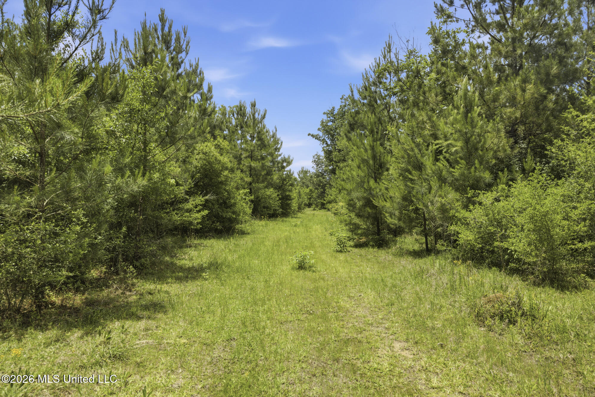 2705 Pilgrims Rest Road Magnolia, MS 39652 - Photo 1 of 21 ghubphoto_12