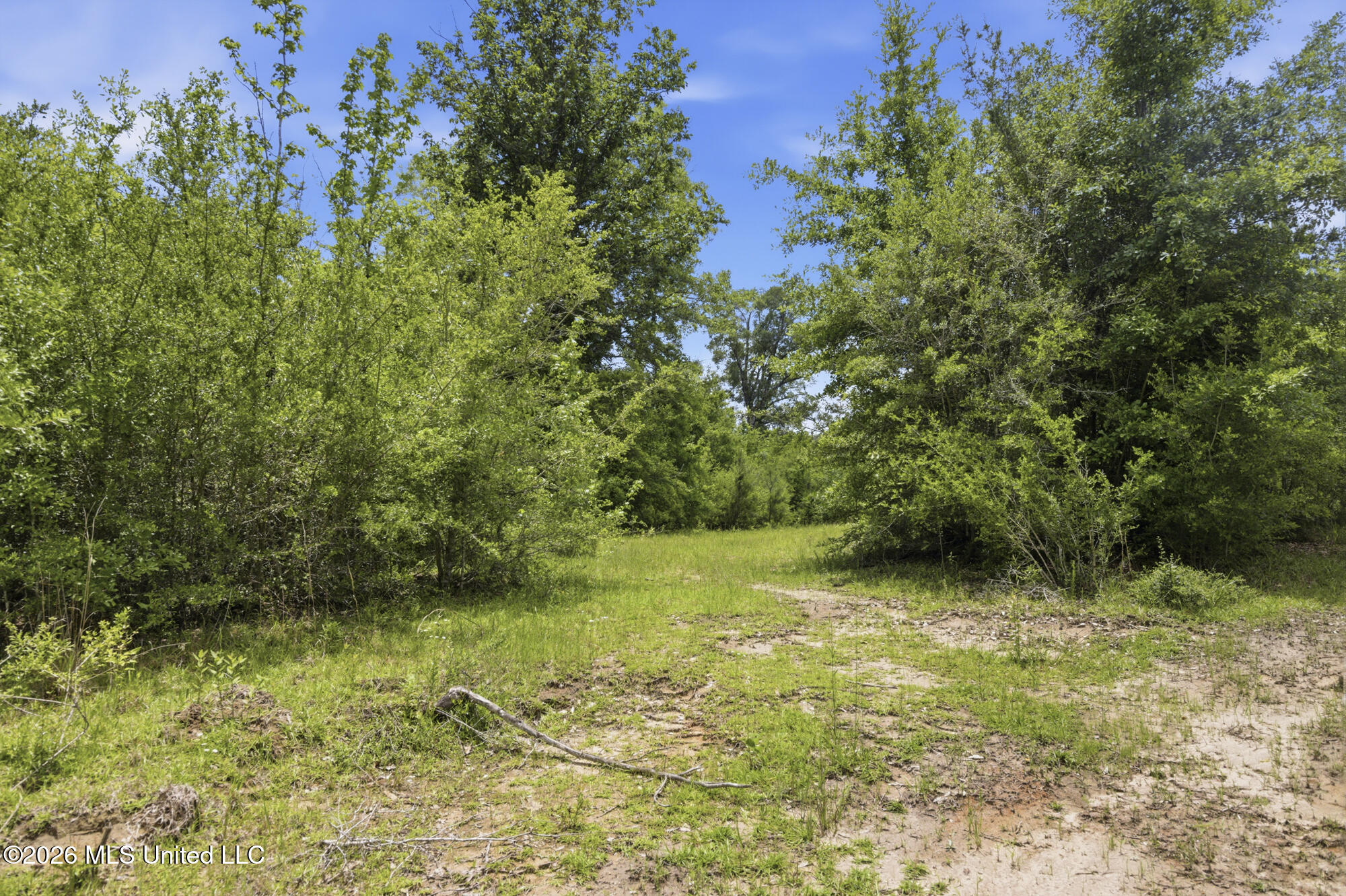2705 Pilgrims Rest Road Magnolia, MS 39652 - Photo 11 of 21 ghubphoto_11