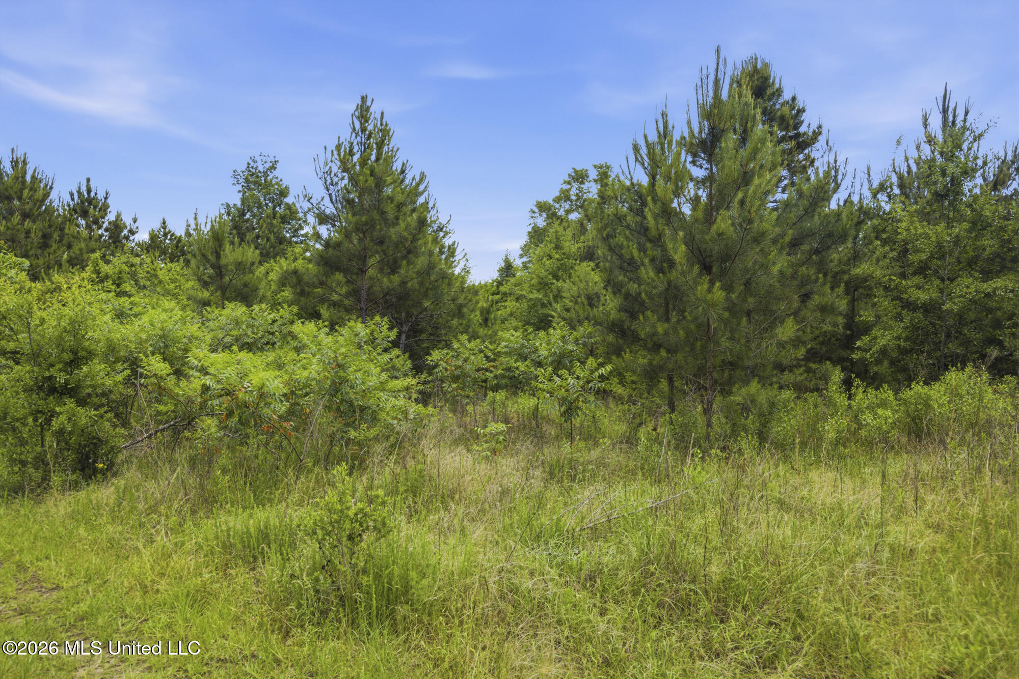 2705 Pilgrims Rest Road Magnolia, MS 39652 - Photo 15 of 21 ghubphoto_15
