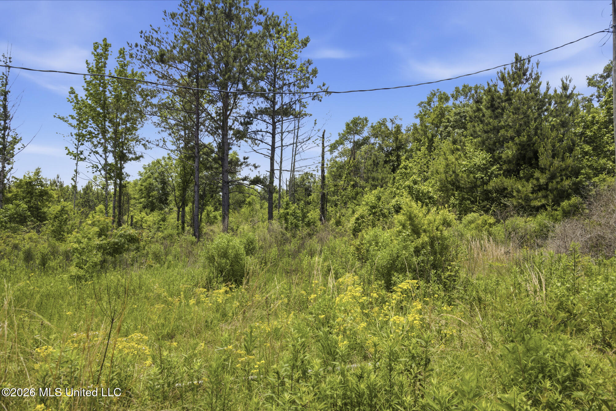 2705 Pilgrims Rest Road Magnolia, MS 39652 - Photo 3 of 21 ghubphoto_03