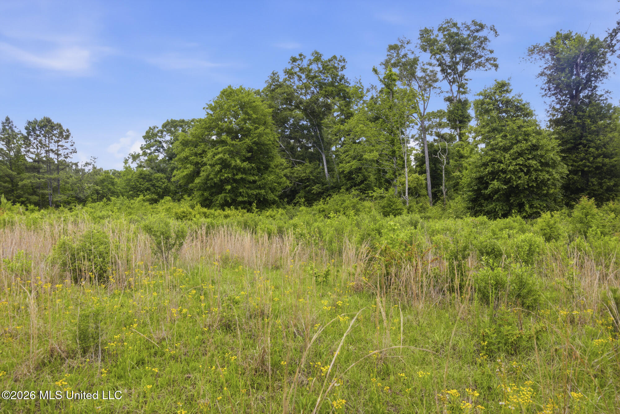 2705 Pilgrims Rest Road Magnolia, MS 39652 - Photo 5 of 21 ghubphoto_05