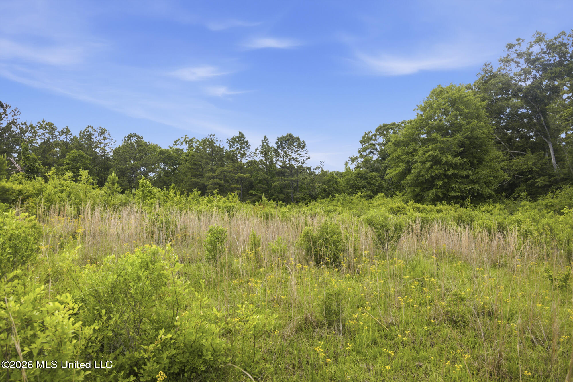 2705 Pilgrims Rest Road Magnolia, MS 39652 - Photo 6 of 21 ghubphoto_06