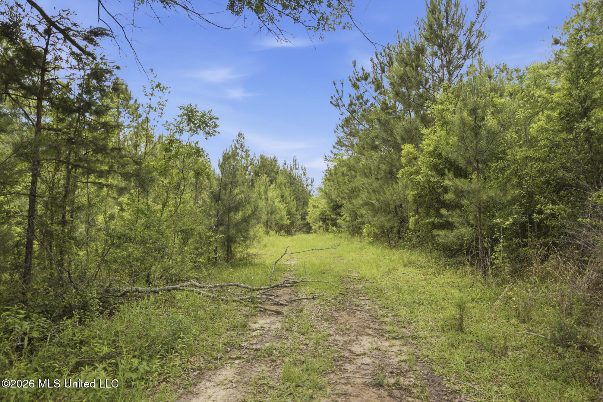 2705 Pilgrims Rest Road Magnolia, MS 39652 - Photo 7 of 21 ghubphoto_07