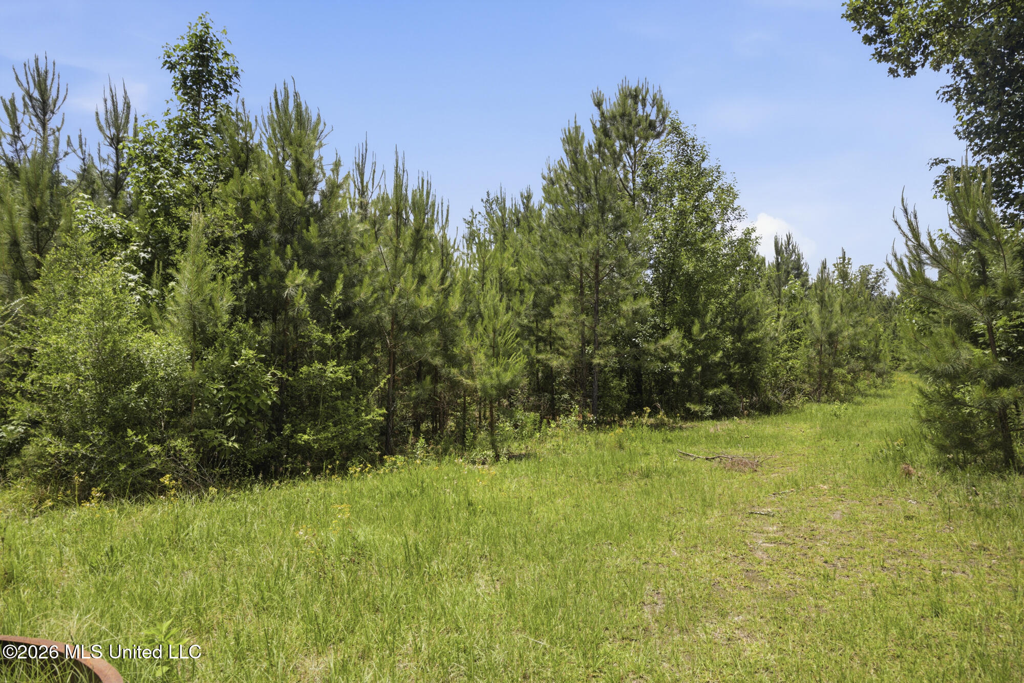 2705 Pilgrims Rest Road Magnolia, MS 39652 - Photo 8 of 21 ghubphoto_08