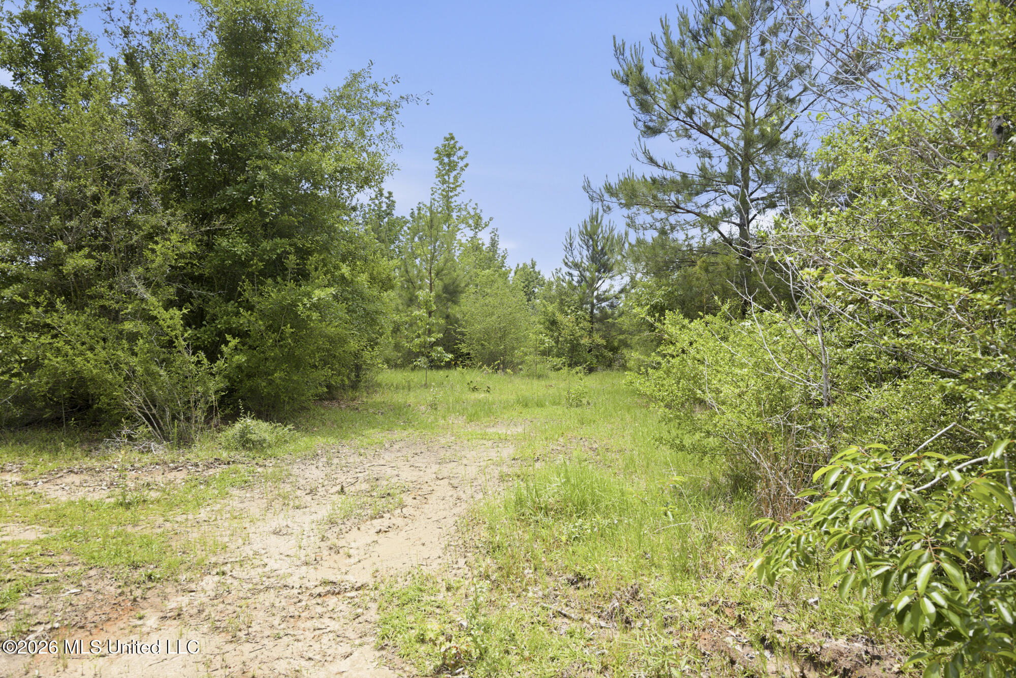 2705 Pilgrims Rest Road Magnolia, MS 39652 - Photo 9 of 21 ghubphoto_09