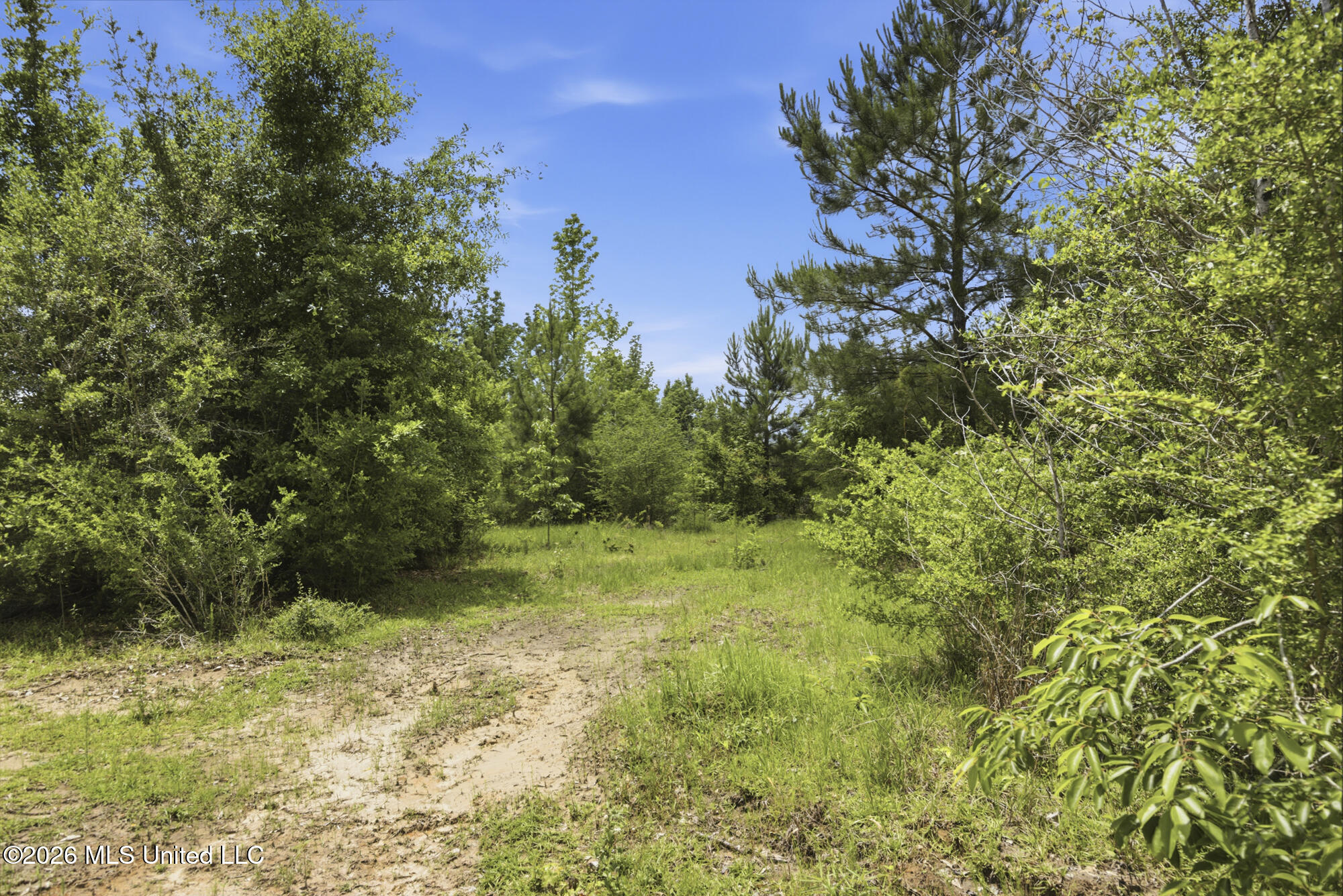 2705 Pilgrims Rest Road Magnolia, MS 39652 - Photo 10 of 21 ghubphoto_10