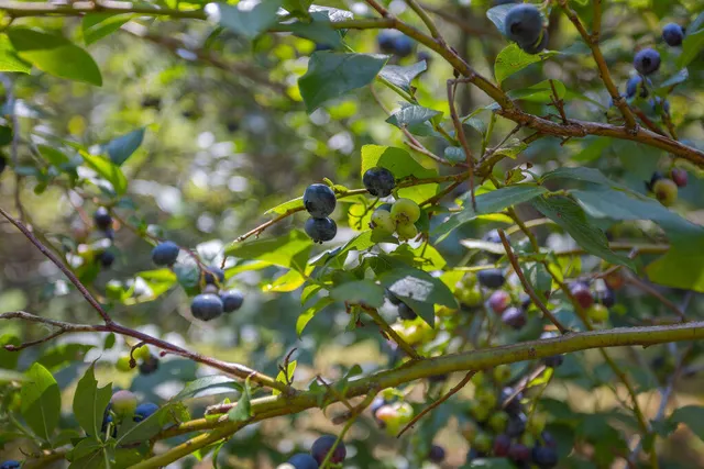 $380,000 | 72 Main Street, Peru, ME 04290