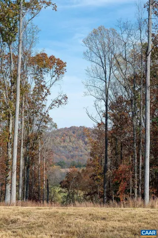 a view of a backyard of the house
