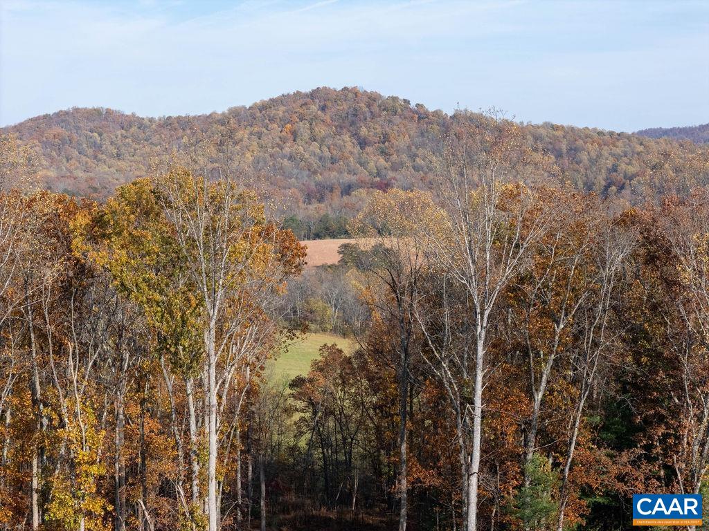 Tbd Red Hill Road Charlottesville, VA 22903 - Photo 18 of 50