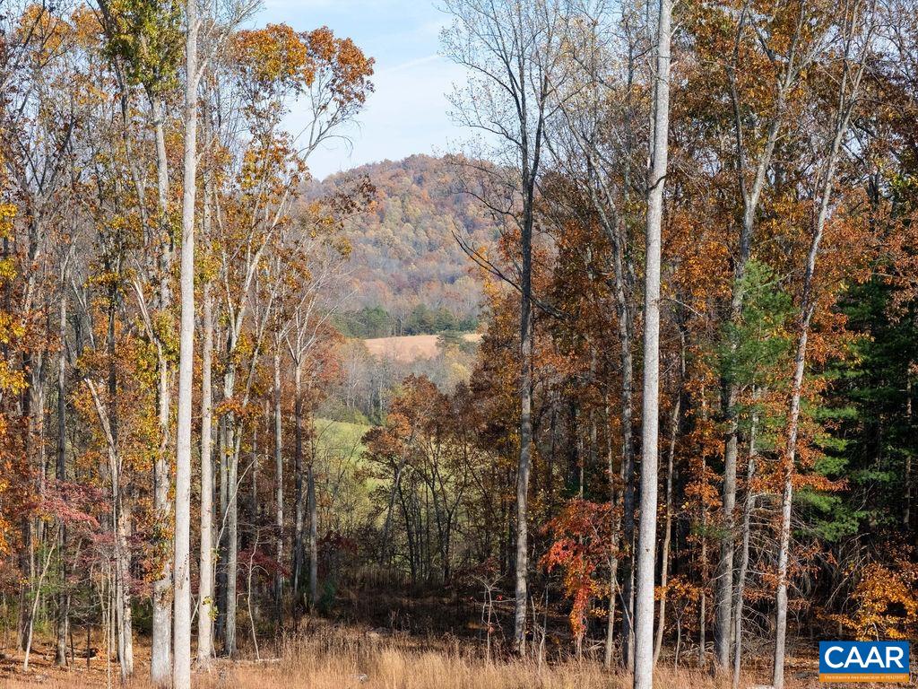 Tbd Red Hill Road Charlottesville, VA 22903 - Photo 19 of 50