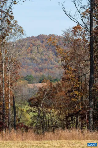 a view of outdoor space with trees