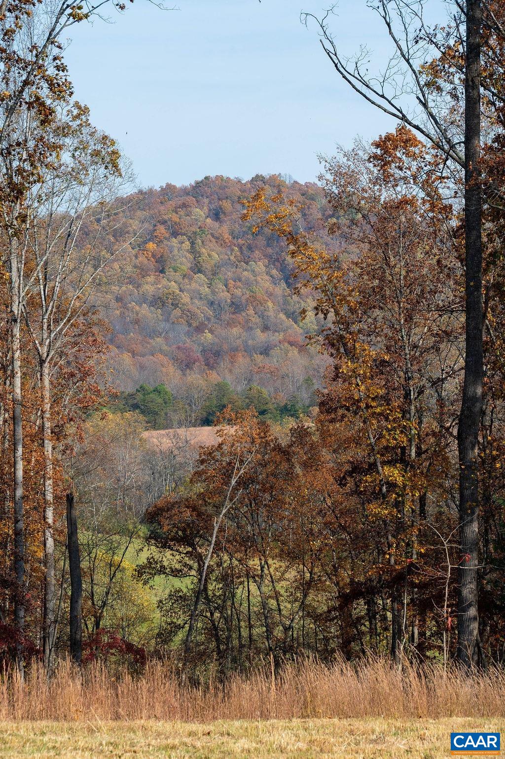 Tbd Red Hill Road Charlottesville, VA 22903 - Photo 28 of 50