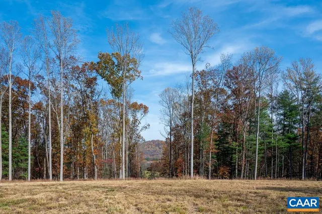 a view of a yard with a house in the background