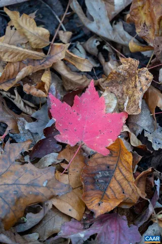 a view of outdoor space with seating space