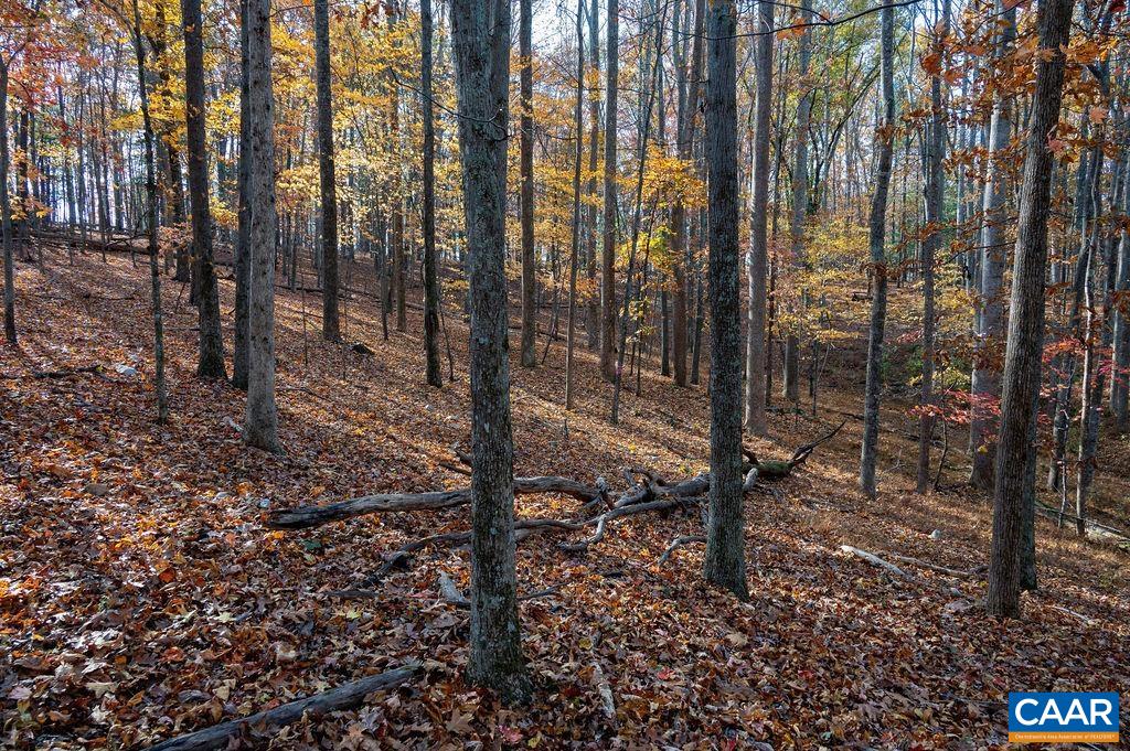Tbd Red Hill Road Charlottesville, VA 22903 - Photo 32 of 50 Open and beautiful
