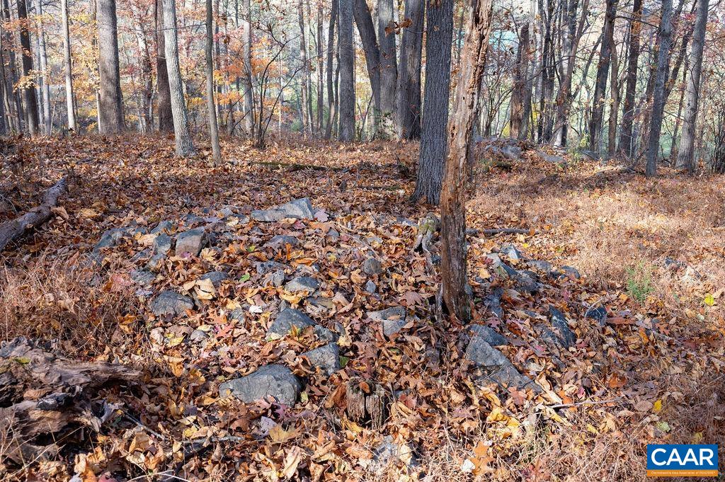 Tbd Red Hill Road Charlottesville, VA 22903 - Photo 33 of 50