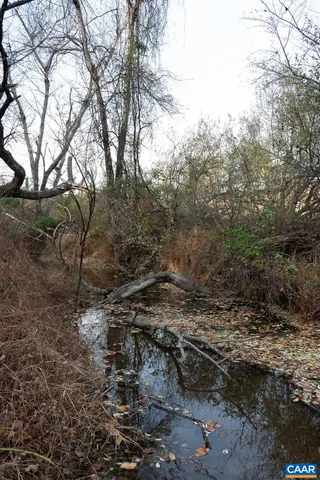 a backyard of a house with lots of trees