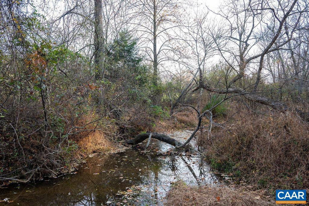 Tbd Red Hill Road Charlottesville, VA 22903 - Photo 36 of 50