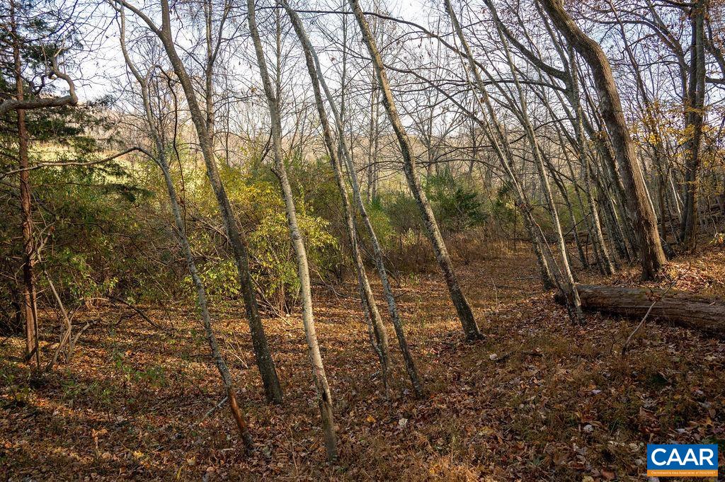 Tbd Red Hill Road Charlottesville, VA 22903 - Photo 40 of 50 Usable bench by stream