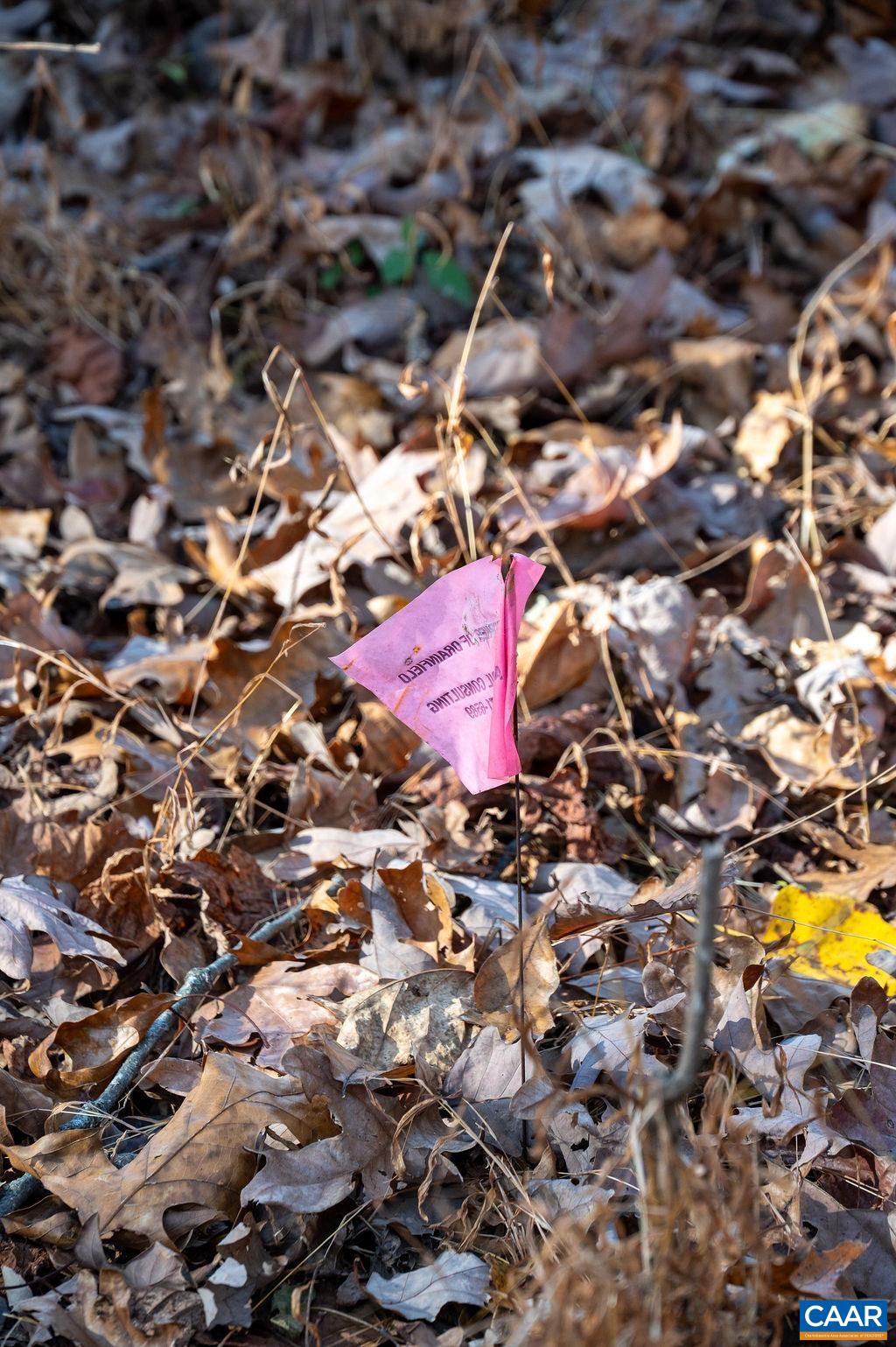 Tbd Red Hill Road Charlottesville, VA 22903 - Photo 42 of 50