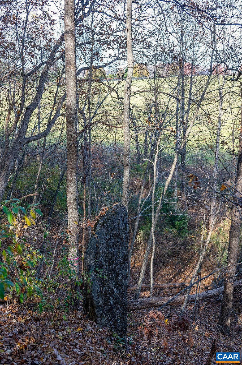 Tbd Red Hill Road Charlottesville, VA 22903 - Photo 44 of 50