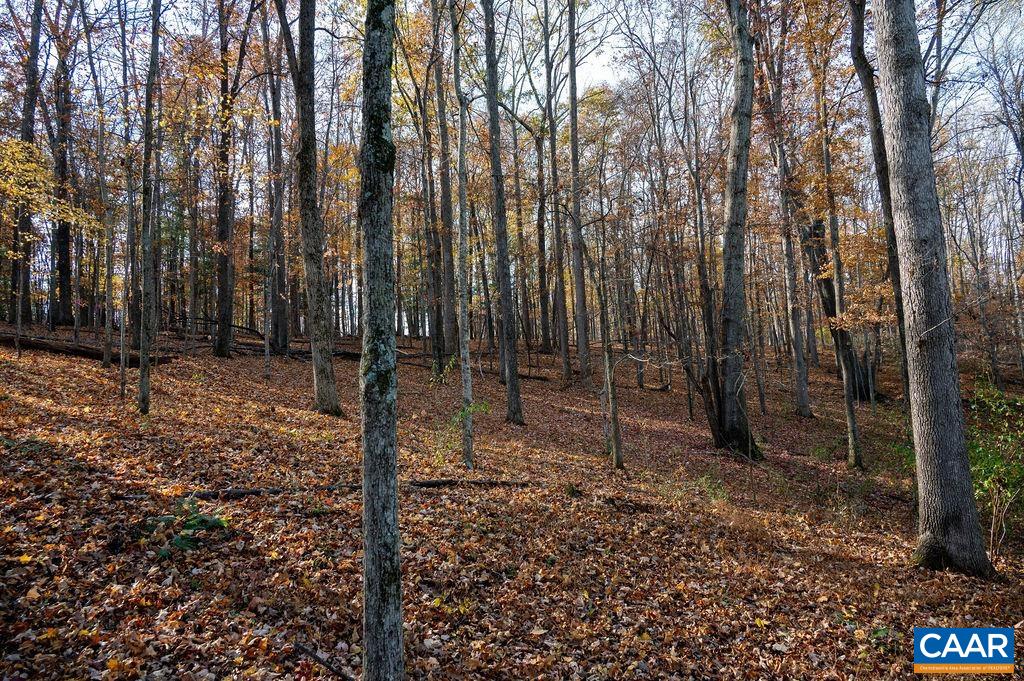Tbd Red Hill Road Charlottesville, VA 22903 - Photo 45 of 50 Hill slope gently to stream