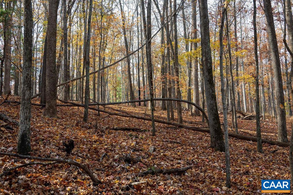 Tbd Red Hill Road Charlottesville, VA 22903 - Photo 47 of 50