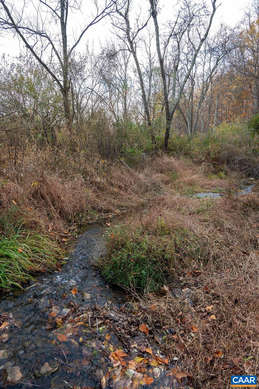 Tbd Red Hill Road Charlottesville, VA 22903 - Photo 5 of 50 Year round stream flow