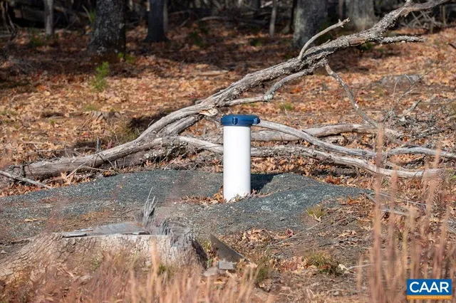 a view of entryway yard