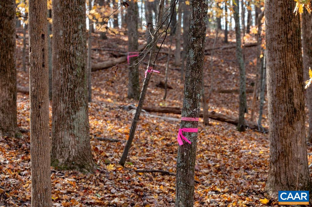 Tbd Red Hill Road Charlottesville, VA 22903 - Photo 8 of 50 Sides of parcel reflagged