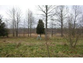 2955 Shepard Road Freedom, IN 47431 - Photo 2 of 4