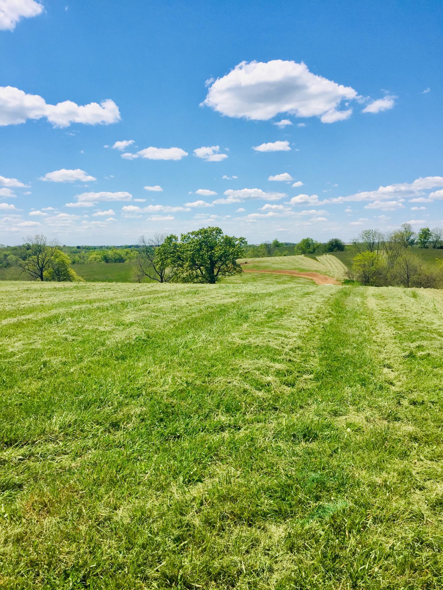 2080 Big Stoner Road Winchester, KY 40391 - Photo 2 of 9 663A358F-ACD6-4D95-8468-13A0F164F872