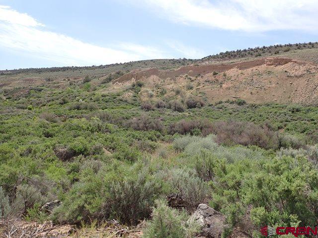 Tbd Tbd North Road Cedaredge, CO 81413 - Photo 4 of 5 a view of mountain view and mountain view