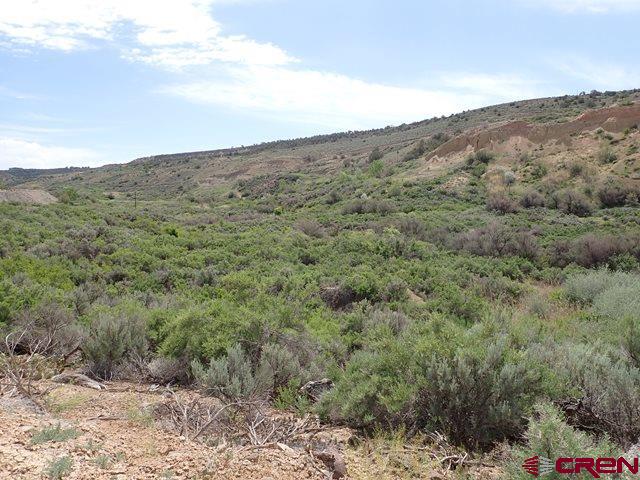 Tbd Tbd North Road Cedaredge, CO 81413 - Photo 5 of 5 a view of a dry yard
