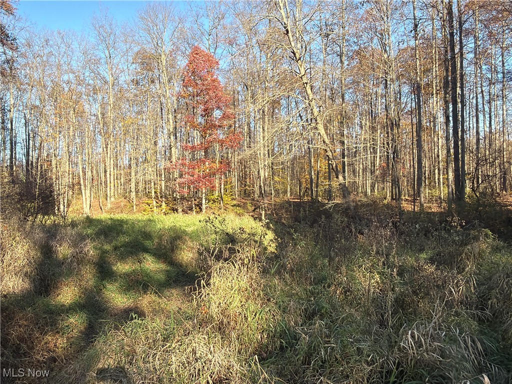 307 State Route Dorset, OH 44032 - Photo 7 of 50