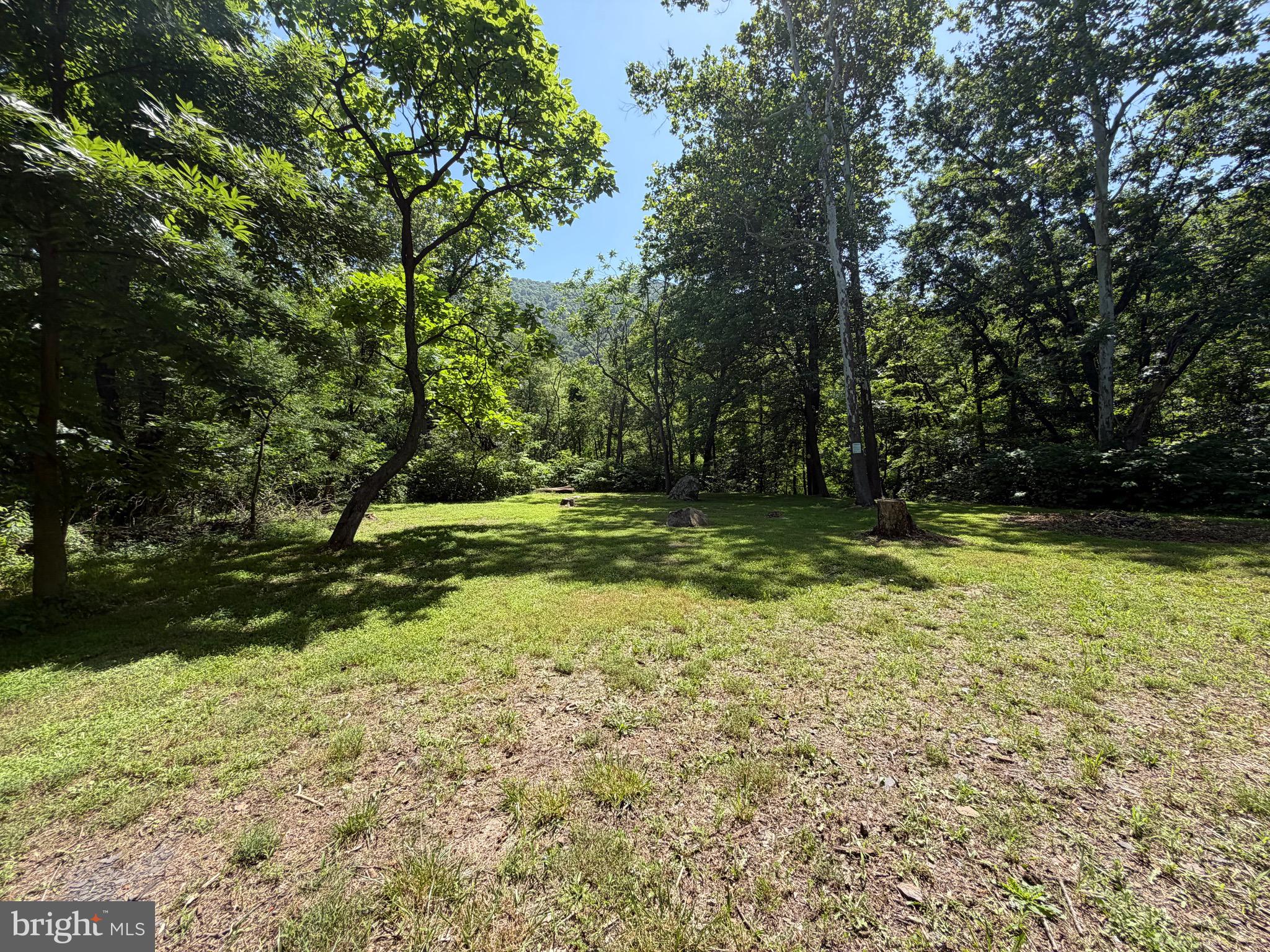 0 Westernport Road Southwest Westernport, MD 21562 - Photo 12 of 41