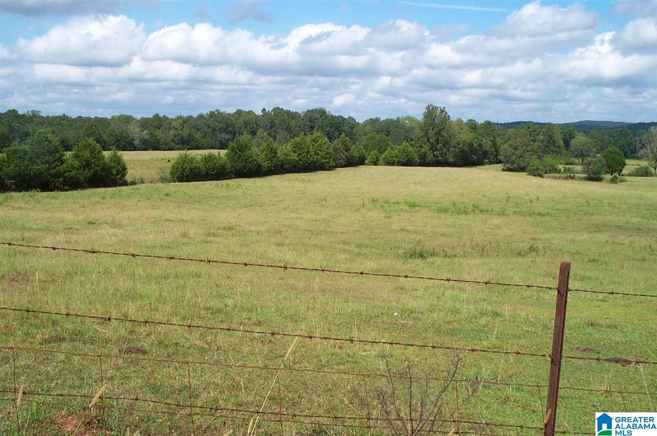 1910 Peaceful Valley Road, Unit 1 Eastaboga, AL 36260 - Photo 3 of 9