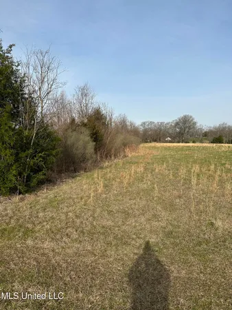 $109,000 | 469 Highway Florence Ms 39073, Pearl, MS 39208