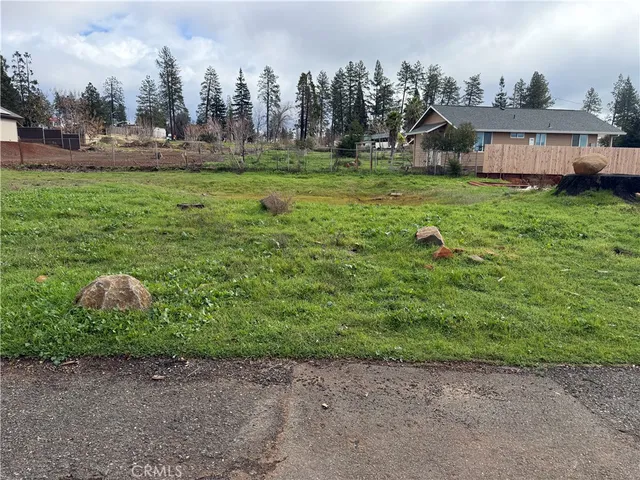 a view of a backyard with large trees