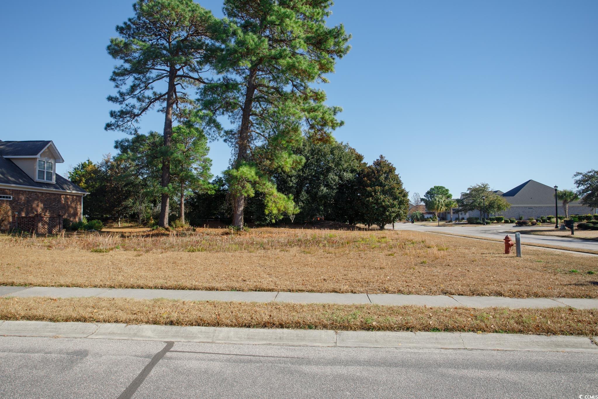 100 Ocean Sands Court Myrtle Beach, SC 29579 - Photo 4 of 20