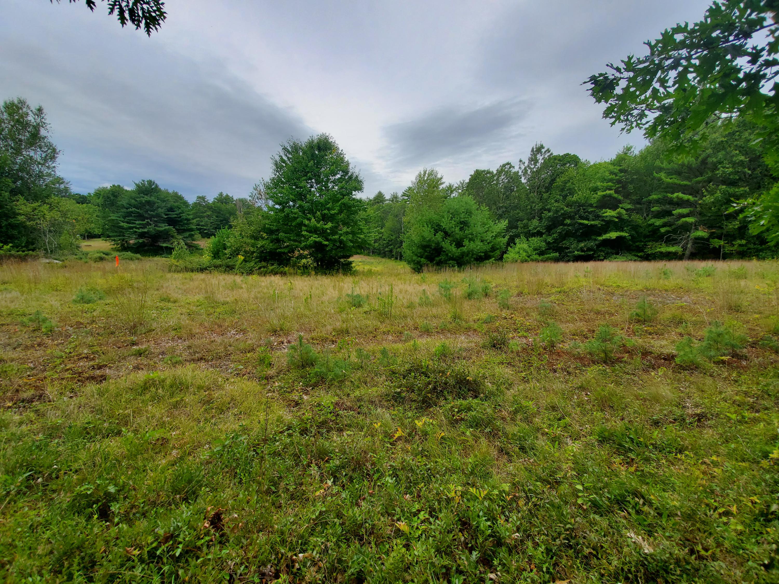 Tbd Blueberry Hill Road Alfred, ME 04002 - Photo 2 of 11 2.10 ACRES