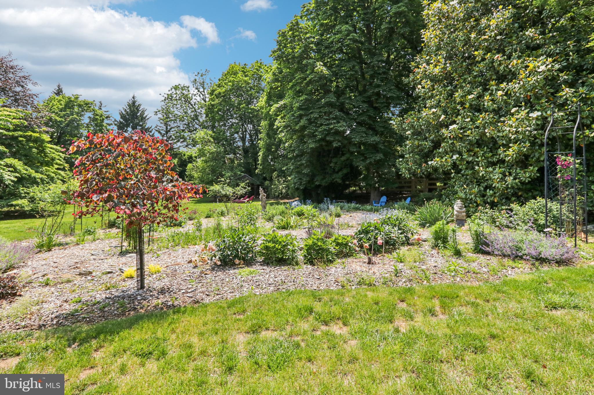 1523 Susquehanna Road Rydal, PA 19046 - Photo 51 of 69 a view of a yard with plants and large trees