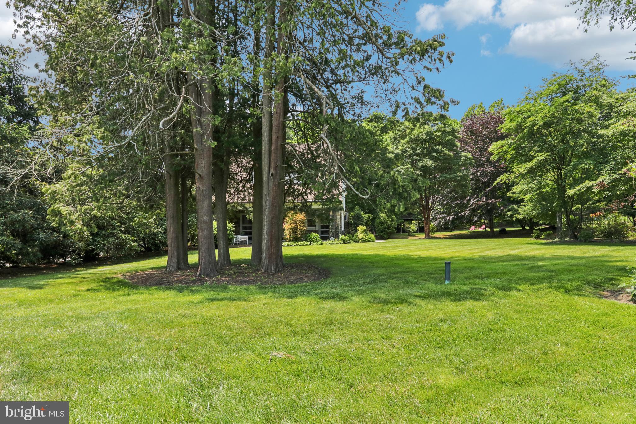 1523 Susquehanna Road Rydal, PA 19046 - Photo 54 of 69 a view of a trees in a park