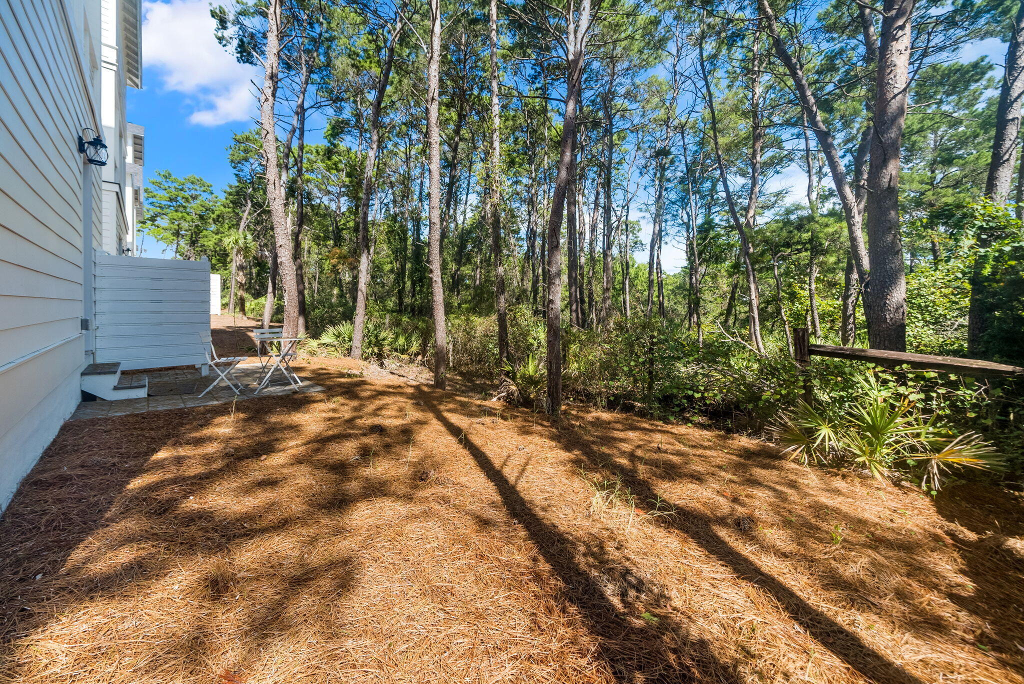 178 Valdare Ln Inlet Beach Inlet Beach, FL 32461 - Photo 10 of 58 a view of a backyard of the house