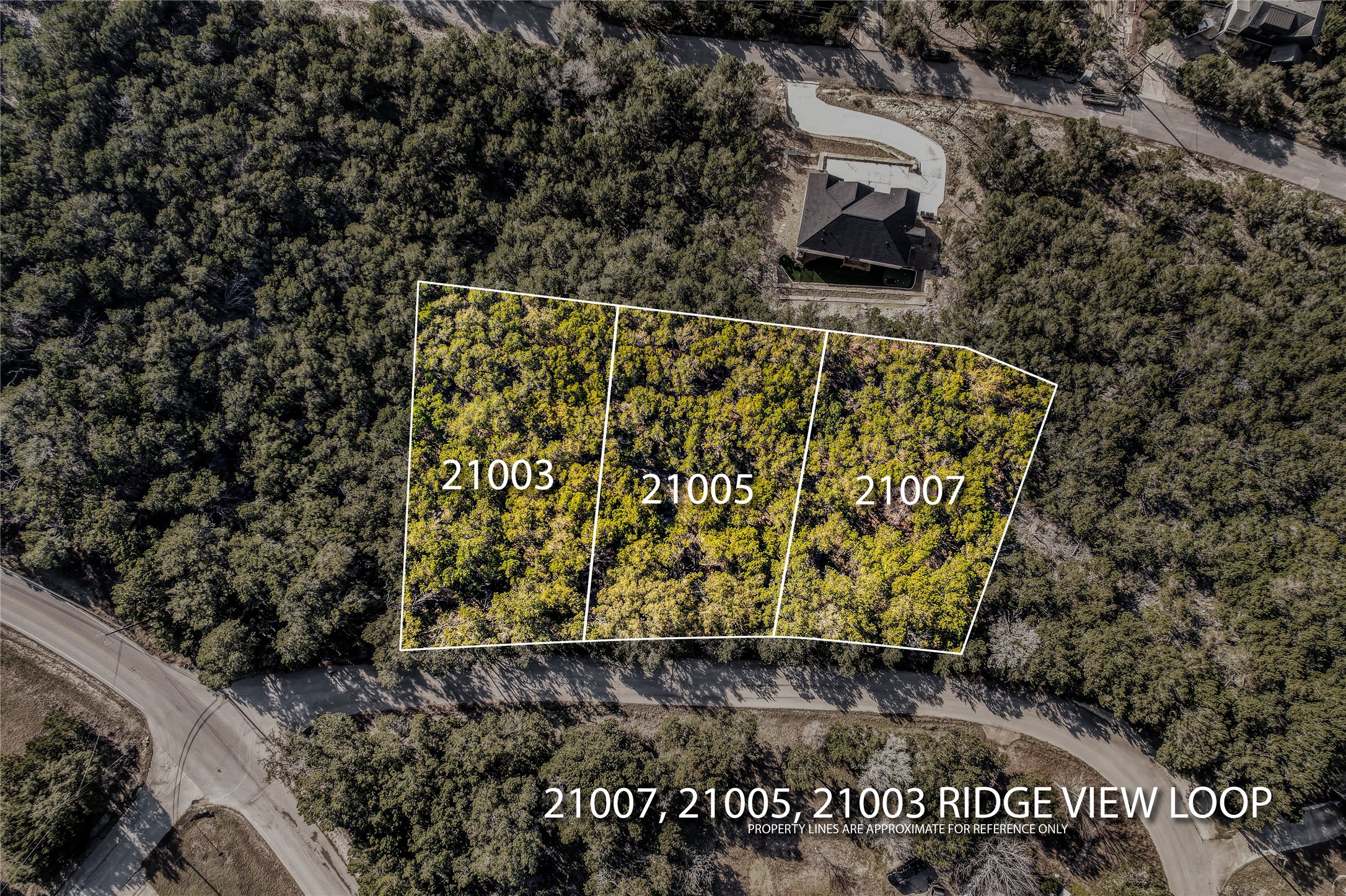 21007 Ridgeview Loop Lago Vista, TX 78645 - Photo 6 of 22