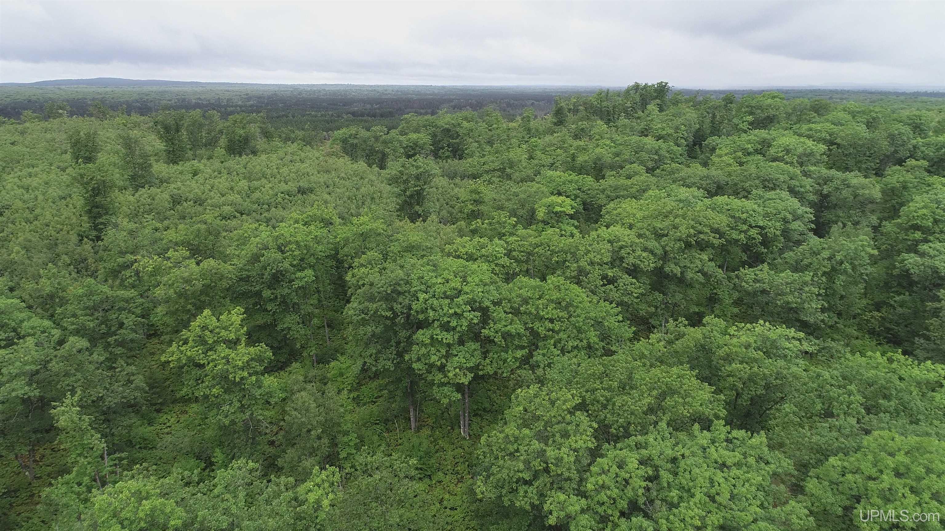 565 County Road 565 Road Gwinn, MI 49841 - Photo 34 of 35