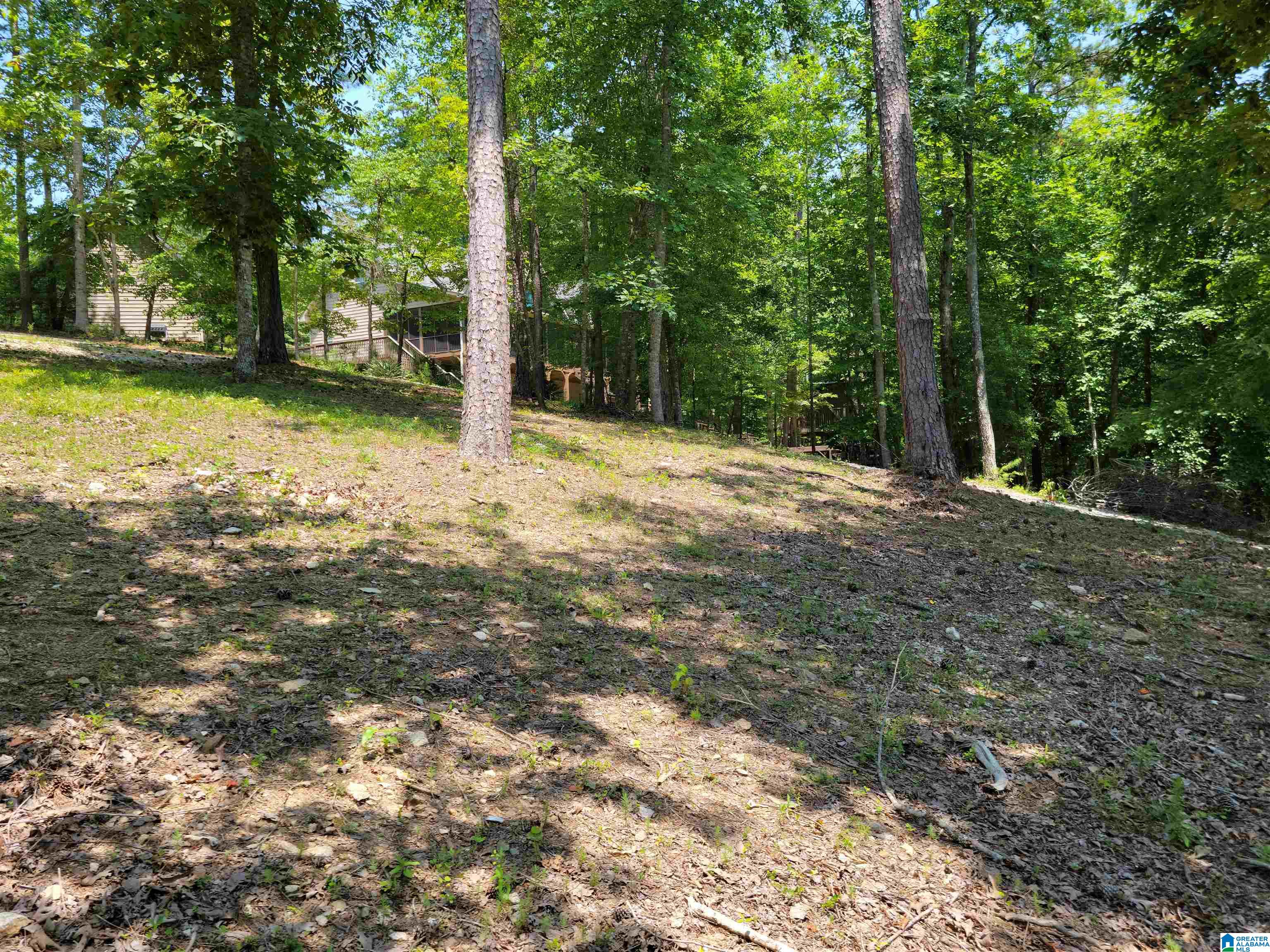 281 Red Cedar, Unit 121 Wedowee, AL 36278 - Photo 10 of 18