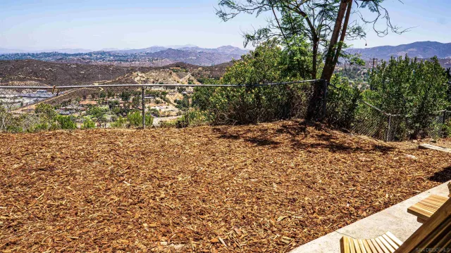 a view of a forest filled with trees